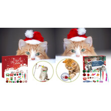 Christmas Cat Toy Countdown Set Interactive Holiday Festive Pet for Cats Advent Calendar Enrichment 2PCS