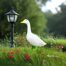 23 inch witte gans tuindecoratie – kunststof, felgekleurde poten, geschikt voor binnen en buiten, past bij diverse tuinaanleg
