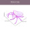 2Pcs Plastic Fruit Trays Violet Spider Shaped Dessert Plates 7