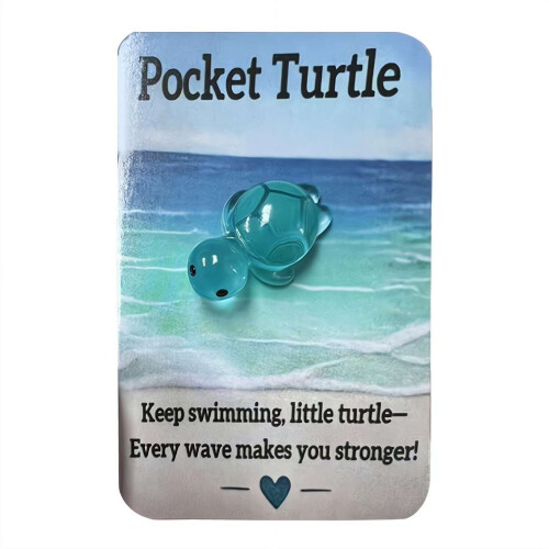 Animal Pocket Hug Greeting Cards Turtle Design 6-Pack