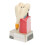Professional Dental Aid, Movable Teeth Model for Advanced Periodontal Disease Teaching 2