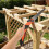Compact Multi-Use for Woodworking and Camping 4