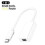 1x Thunderbolt 3 To Thunderbolt 2 Adapter Type C Cable Usb 1