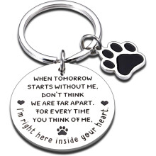 Pet Memorial Keychain for Dog & Cat Lovers – Sympathy Gift, Compatible with "When Tomorrow Starts Without Me"