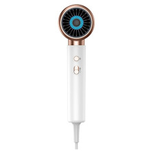 Prise UE, SèChe-Cheveux, Puissant, SèChe-Cheveux à Brosse à Air Chaud et Froid, SèChe-Cheveux 2000 W en 5 éTapes