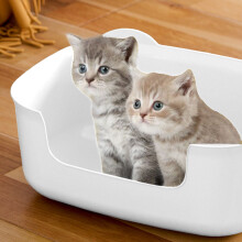 Large Cat Litter Box – Spill-Proof, Fully Open One-Piece Tray, Sturdy Plastic, Easy Clean, Compatible with All Litter Types