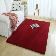 Xoxingysm Ultra-Soft Non-Slip Modern Area Rug 40x60cm, Plush Indoor Carpet for Living Room, Kitchen, Entrance – Compatible with Home Decor