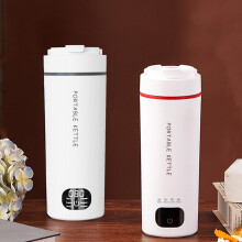 Portable Mini Electric Kettle 4 Temperature Settings