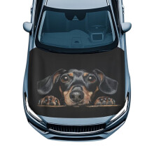 Car Hood Cover Protection Hood Covers for Cars Dachshund Print Hood Wrap Blanket Easy Installation Removable Automotive Accessories Suitable for Cars