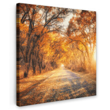 (Forest path, 8"x8") Framed Canvas Wall Art