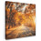 (Forest path, 8"x8") Framed Canvas Wall Art 1