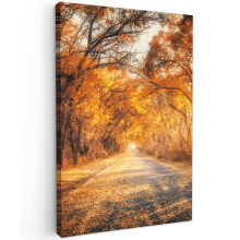 Framed Canvas Wall Art