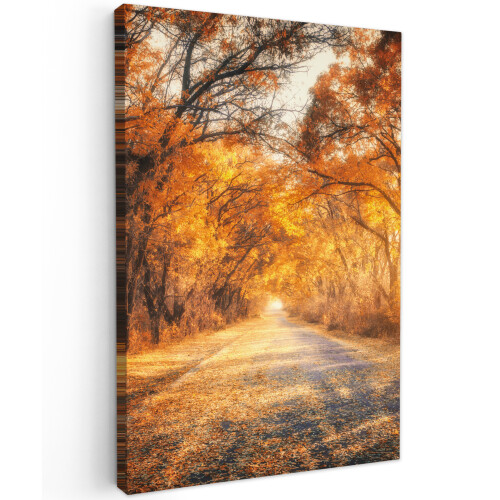 Framed Canvas Wall Art