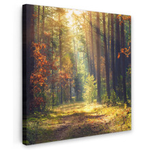 Framed Canvas Wall Art