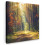 Framed Canvas Wall Art 1