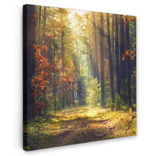 Framed Canvas Wall Art