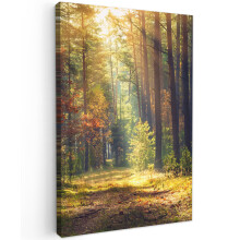 Framed Canvas Wall Art