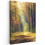 Framed Canvas Wall Art 1
