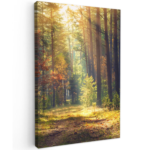 Framed Canvas Wall Art