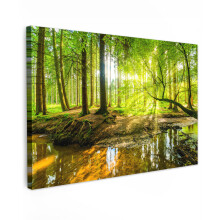 (Forest light, 12"x8") Framed Canvas Wall Art