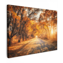 Framed Canvas Wall Art