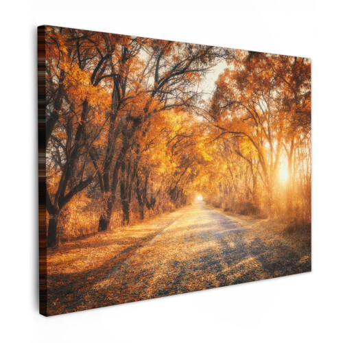 Framed Canvas Wall Art