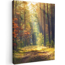 Framed Canvas Wall Art