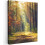 Framed Canvas Wall Art 1