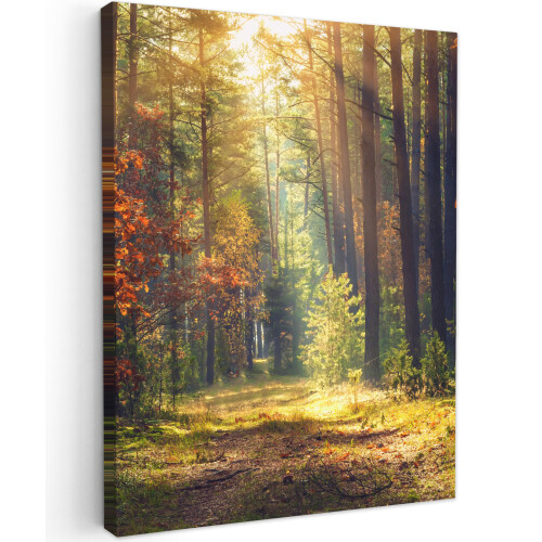 Framed Canvas Wall Art