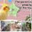 Parrot Spinner Toy for Mental and Beak Exercise Enrichment 3