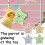 Parrot Spinner Toy for Mental and Beak Exercise 7