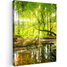 Framed Canvas Wall Art