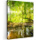 Framed Canvas Wall Art 1