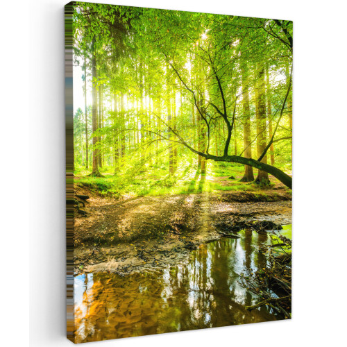 Framed Canvas Wall Art