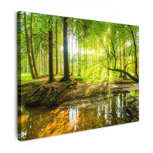 (Forest light, 31"x24") Framed Canvas Wall Art