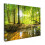 (Forest light, 31"x24") Framed Canvas Wall Art 1