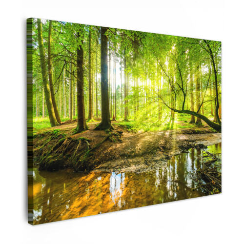(Forest light, 31"x24") Framed Canvas Wall Art