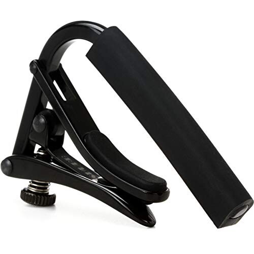 Shubb Capo Noir - 12 String Guitar