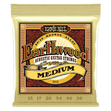 Ernie Ball 2002 Acoustic Guitar Strings Set - Earthwood 80/20 Bronze