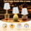Wireless Bottle Lamp Rechargeable Metallic Black 3-Color 4