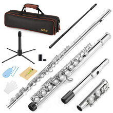 Eastar Closed Hole 16 Keys Flute