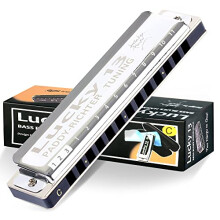 East top Lucky 13 Bass Plus Blues Harmonica 13 Holes Diatonic Harp Mouth