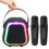 Mini Karaoke Machine for kids 1