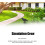 Plastic Crow Decoy for Hunting and Garden Decoration 3
