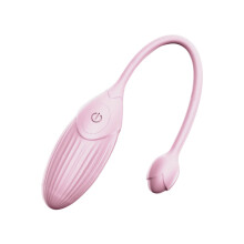 Fernbedienung Silikone-Vibrationsspielzeug – 10 Modalitäten Wasserdichter Erwachsenen-Massager