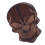 Cool Skull Guitar Pick Type B Black Solid Wood 11