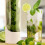 Fresh Herb Storage Container, ABS, 26x9x7cm 8