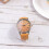 3Pcs Elegant Orange Canvas Wrist Watch Quartz Silent Precise Movement 9