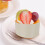 2Pcs Round Box for Cheesecake Wrap with and 6