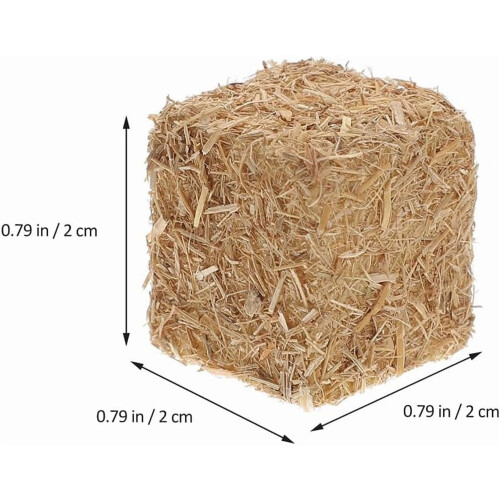 12 τεμάχια μίνι μπάλες σανού για χειροτεχνίες, κουκλόσπιτο και διακόσμηση 2